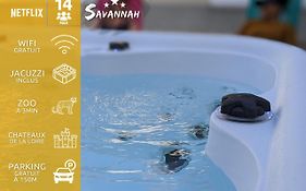 Le Savannah - Jacuzzi - A 3min du Zoo de Beauval